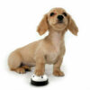 Pet Dog Cat Training Bell Dog Toys - Image 8