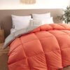 Down Duvet, Winter Duvet, Goose Down Duvet Core, Air Conditioner - Image 2