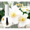 Nail Beauty Dried Flowers Nutrition Nail Treatment - Image 9